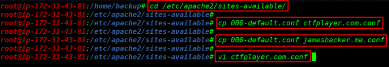 Multiple Websites host