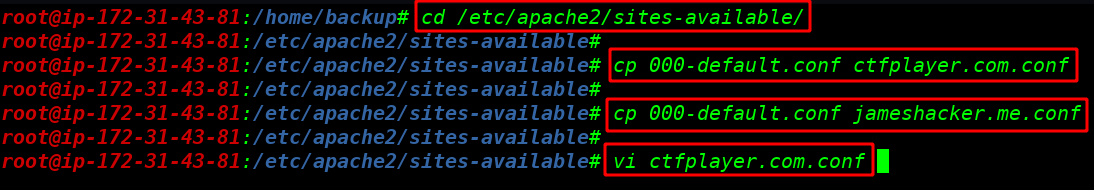 Multiple Websites host
