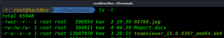 Linux Permissions