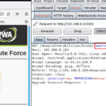 dvwa brute force low level security