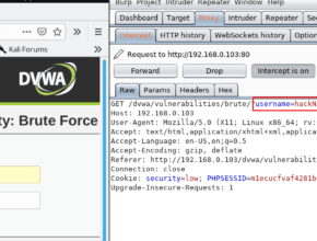 dvwa brute force low level security