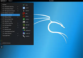 Why use Kali Linux