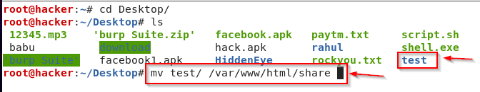 File Transfer Via Apache Server