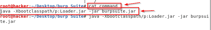Burp Suite Configuration