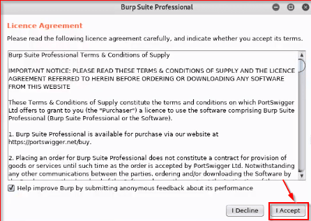 Burp Suite Configuration