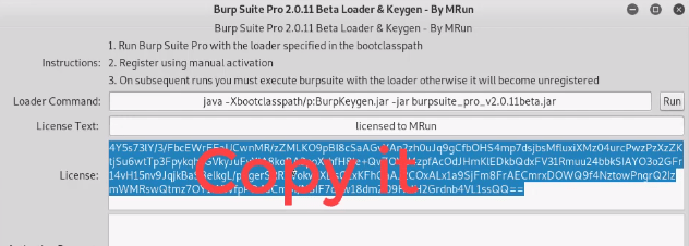 Burp Suite Configuration