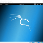 Install Kali Linux In Virtual