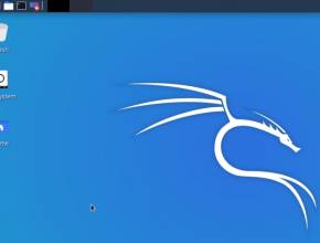 Install (XFCE) Services in Kali