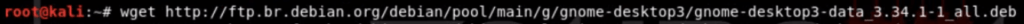 Fix the File Manager Not Showing