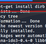 DIRB and UNISCAN Website Scaning