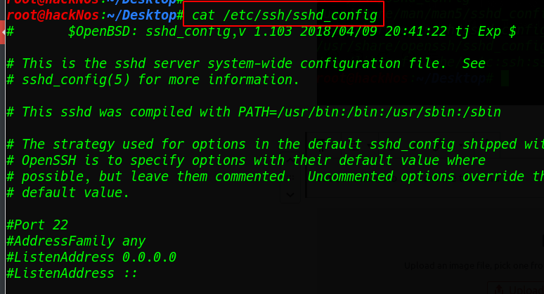 Important Command Linux