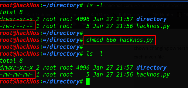 Important Command Linux