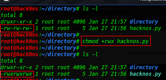 Important Command Linux
