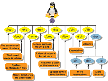 Linux filesystem directory