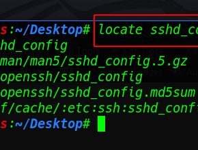 Important Command Linux