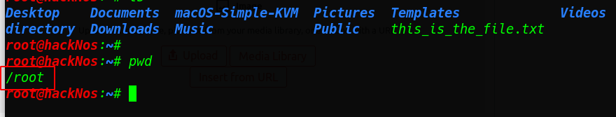 Important Command Linux