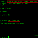 haclabs: no_name vulnhub walkthrough