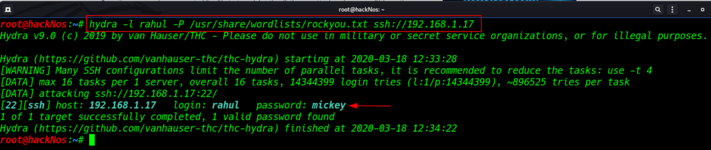 ssh brute force