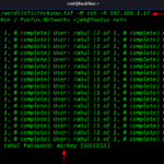 ssh brute force attack password