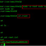 Sar: 1 walkthrough
