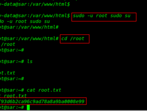 Sar: 1 walkthrough