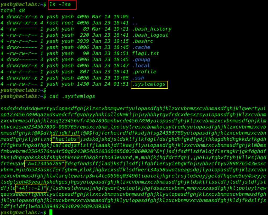 haclabs: Deception walkthrough vulnhub