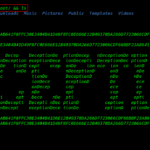 haclabs: Deception walkthrough vulnhub