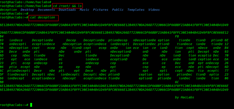 haclabs: Deception walkthrough vulnhub