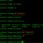 VulnUni: 1.0.1 Walkthrough Vulnhub