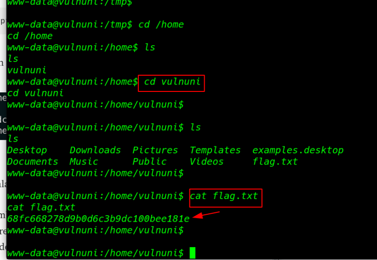 VulnUni: 1.0.1 Walkthrough Vulnhub