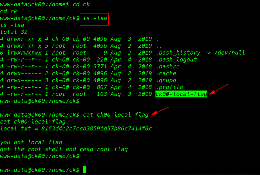 CK: 00 Vulnhub Walkthrough | CK: 00 Vulnhub Writeup