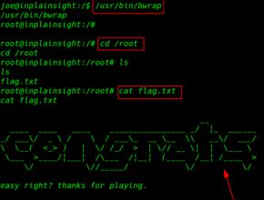 In Plain Sight: 1.0.1 walkthrough vulnhub