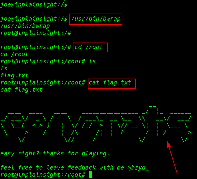 In Plain Sight: 1.0.1 walkthrough vulnhub