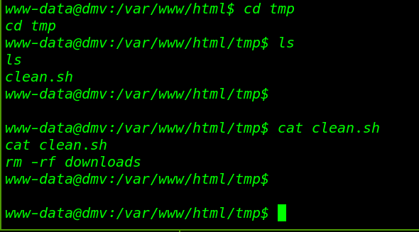 DMV: 1 Vulnhub Walkthrough | DMV: 1 Vulnhub Writeup