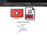 DMV: 1 Vulnhub Walkthrough | DMV: 1 Vulnhub Writeup