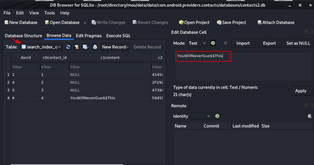 Minouche: 1 Vulnhub Walkthrough | Minouche: 1 Vulnhub Writeup