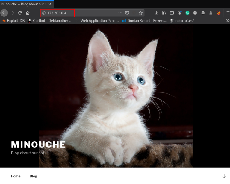Minouche: 1 Vulnhub Walkthrough | Minouche: 1 Vulnhub Writeup