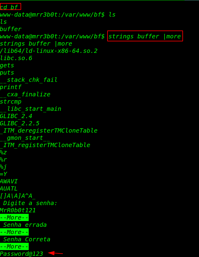 Bizarre-Adventure Mrr3b0t walkthrough, Bizarre Adventure Mrr3b0t walkthrough, vulnhub walkthrough